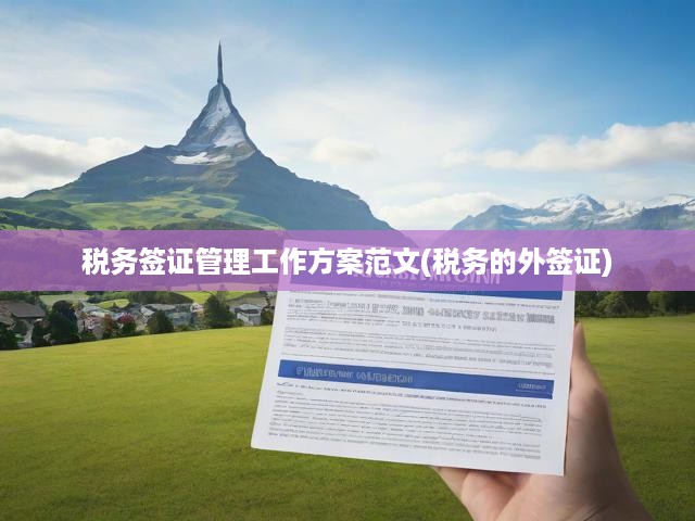 稅務(wù)簽證管理攻略，深度解析外簽證流程與策略，提升高效管理與風(fēng)險(xiǎn)防控