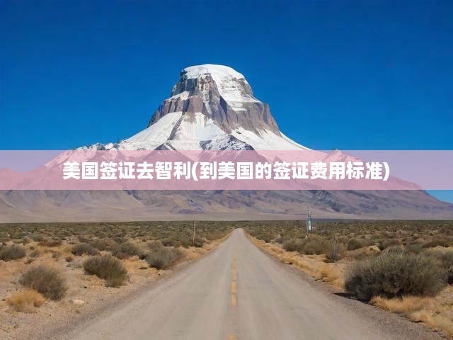 美國簽證去智利(到美國的簽證費用標準)