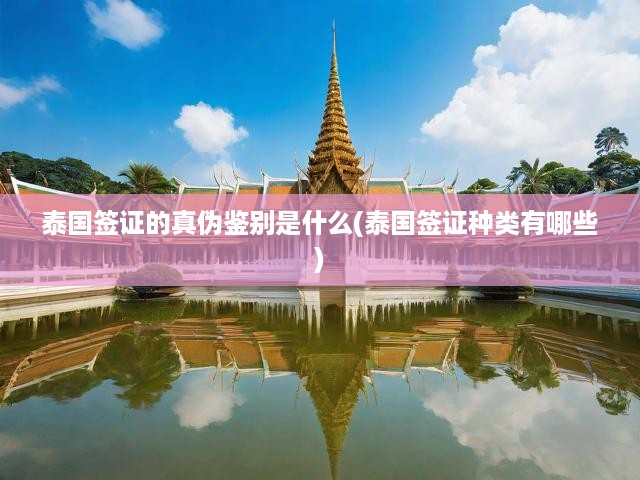 泰國(guó)簽證真假辨析攻略，全面解析各類簽證類型及鑒別技巧