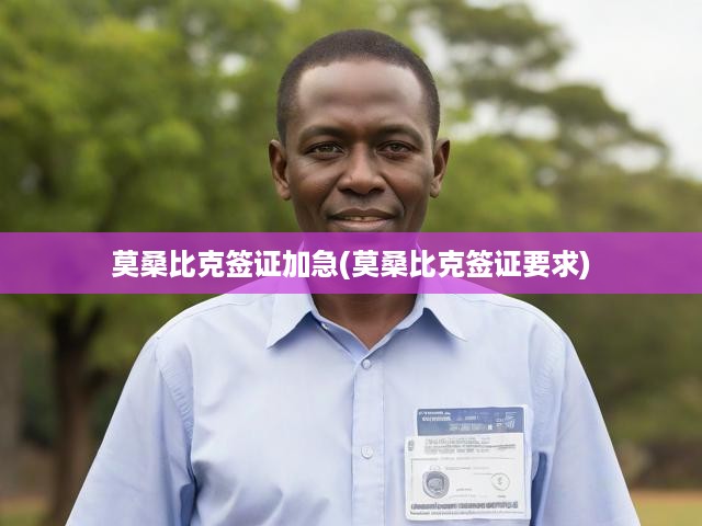 莫桑比克簽證加急辦理全攻略，解析簽證條件與快速通道