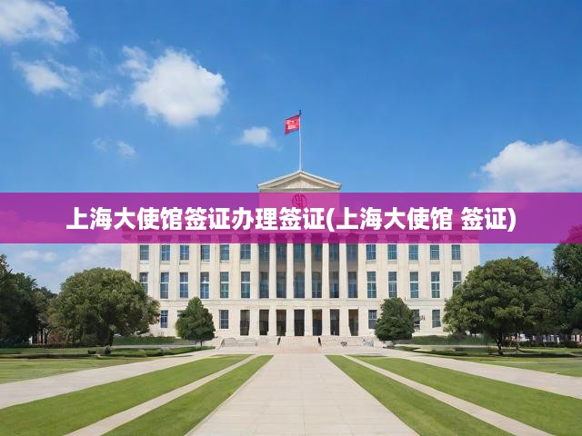 上海大使館簽證辦理簽證(上海大使館 簽證)