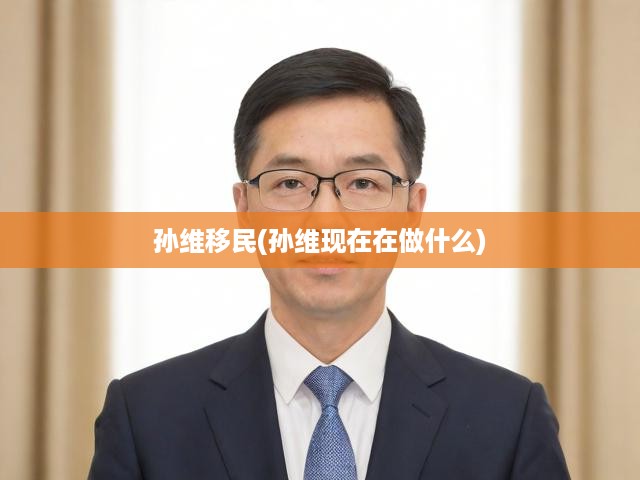 孫維移民真相大揭秘，職業(yè)軌跡與移民故事深度解析