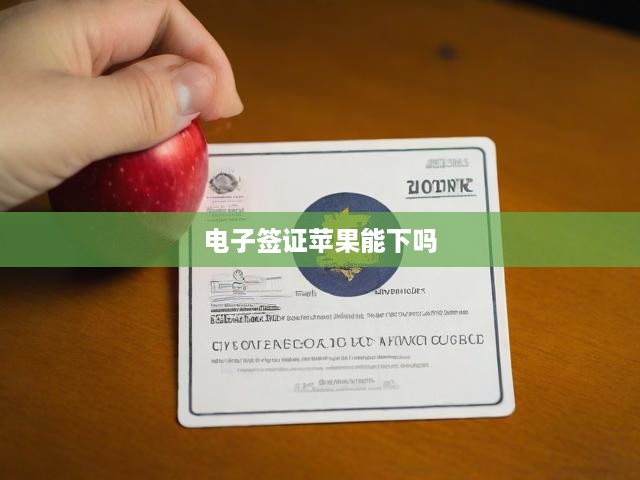 電子簽證蘋果能下嗎