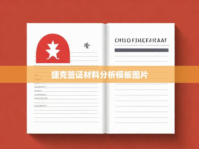 捷克簽證材料分析模板圖片