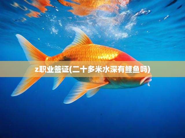 z職業(yè)簽證(二十多米水深有鯉魚嗎)