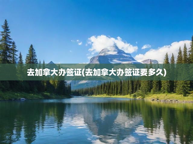 去加拿大辦簽證(去加拿大辦簽證要多久)