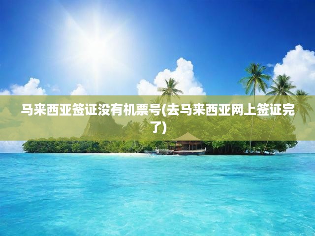 馬來(lái)西亞無(wú)機(jī)票號(hào)網(wǎng)上簽證全攻略，詳細(xì)流程與后續(xù)操作指南揭秘