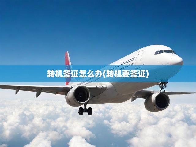 轉(zhuǎn)機(jī)簽證怎么辦(轉(zhuǎn)機(jī)要簽證)
