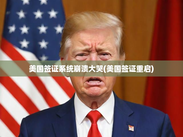 美國(guó)簽證系統(tǒng)崩潰大哭(美國(guó)簽證重啟)