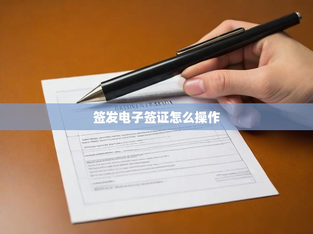 電子簽證輕松辦理攻略，掌握技巧，順利簽發(fā)無憂行