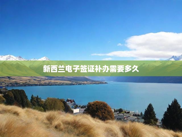 新西蘭電子簽證補(bǔ)辦全攻略，流程詳解與辦理時(shí)效揭秘