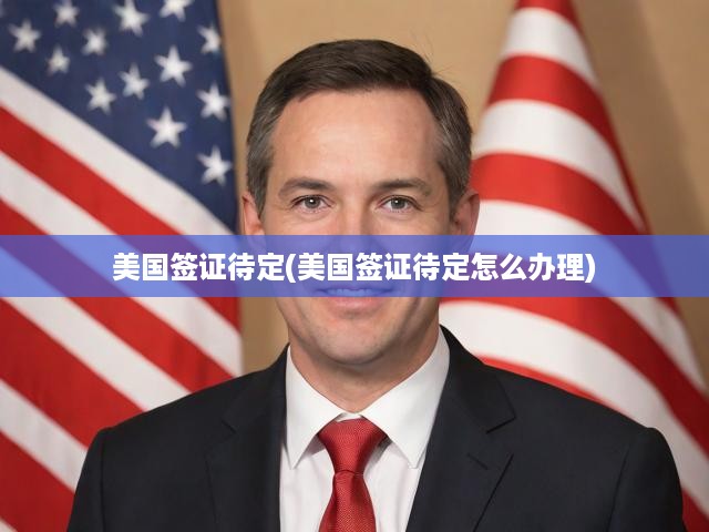 美國簽證待定狀態(tài)全解析，揭秘辦理流程及應對攻略
