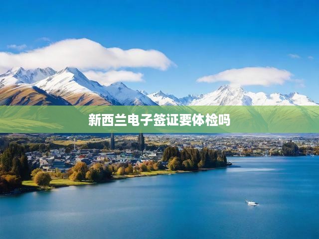 新西蘭電子簽證申請(qǐng)全攻略，流程詳解與體檢標(biāo)準(zhǔn)須知