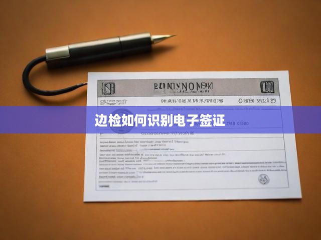 邊檢如何識別電子簽證