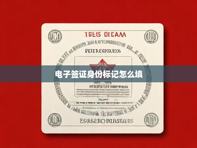 電子簽證身份標記填寫攻略，確保信息準確無誤，輕松辦理簽證！