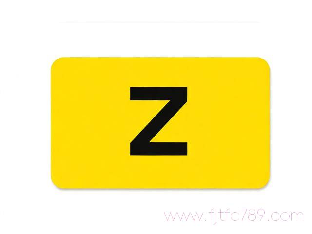 詳盡版z字簽證申請材料清單，必備材料一覽